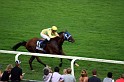 Ascot Renntag09   082